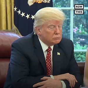 5.3M views · 27K reactions | Trump was busy golfing when the WHO warned of COVID-19 in early January — here’s a timeline of everything leading up to their feud | NowThis Impact | Facebook