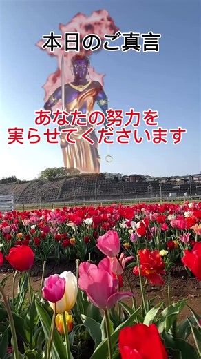 この不動明王像は、真言宗 智愛寺僧侶であり、 デジタル仏師の が、ご真言をお唱え し時間をかけて製作いたしました。 最近流行りのAI製作の御本尊ではございません。 また、流れる映像上にはご本尊の不動明王様、 大黒天様のご尊像が流れるとともに、日々皆様の 様々な悩みの場面でお唱え頂けるご真言をご紹介 させて頂いております。 是非、このご真言をお唱えいただき、心穏やかに 日々をお過ごしください。 明日があなたにとって素晴らしい一日であります ように。 #真言宗智愛寺 #不動明王 #厄除け