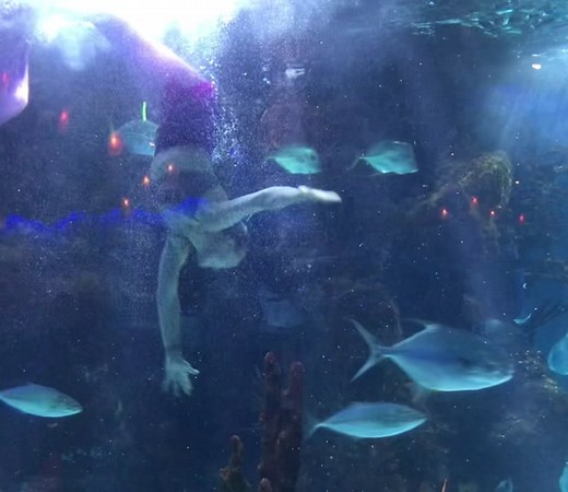 Activate turbo mode 🧜‍♀️ #mermaids #fartingmermaid #fart #mermaid #professionalmermaid #mermaidtail #mermaidswiming #mermaidsarereal #mermaidtiktok #fantasy #magical #spin #dancing #aquarium #pink