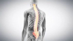 Medical 3d Animation Human Spine Stock Footage Video (100% Royalty-free) 15102184 | Shutterstock