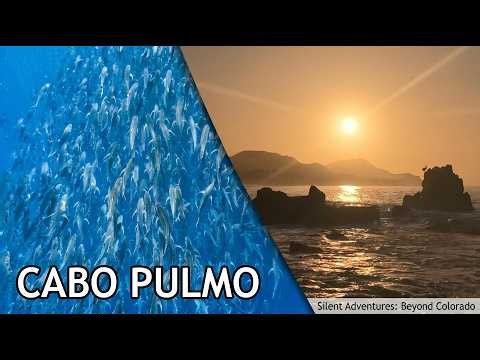 Tequila Cove to Cabo Pulmo: Sunrise, Snorkeling & Jackfish School | Silent Adventure Beyond Colorado
