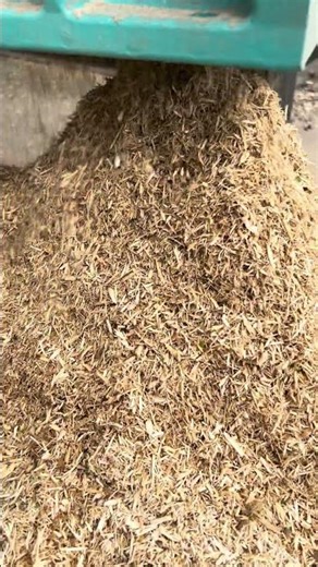 #Sawdust Grinder #Wood Dust Crusher#Sawdust Shredder Machine #Sawmill Waste Grinding Machine