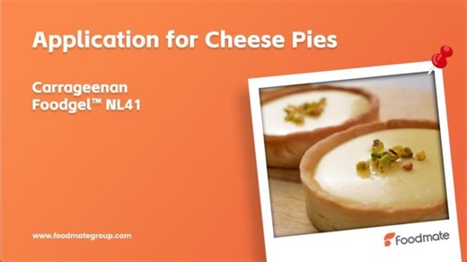 Foodmate Carrageenan for Cheese Pies | How to Improve Texture Stability | Foodmate Group