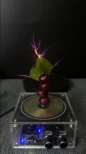 Tesla coil + Grape + Leaf 🍃 #experiment #shorts