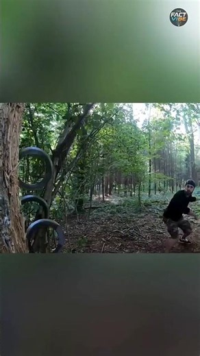 The Ancient Indian Weapon from Legend Chakram