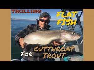 Trolling Flat Fish at Pyramid Lake NV Lahontan Cutthroat trout. ‪@fairplayfishing‬