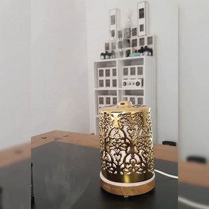 Watch Essential Oil Diffuser on Amazon Live