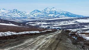 Polar bear mauls boy and a woman to death after rampage through Alaska village