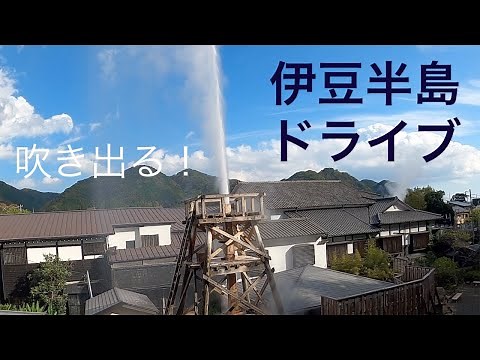【伊豆半島ドライブ】立ち寄りスポット満載♬南伊豆から西伊豆、絶景スポット♪