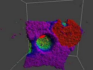 NVIDIA CUDA realtime particles demo