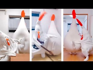 Funny Slapping🍑🐔TikTok Compilation | Spanking butt TikTok compilation🐔🐔🐔