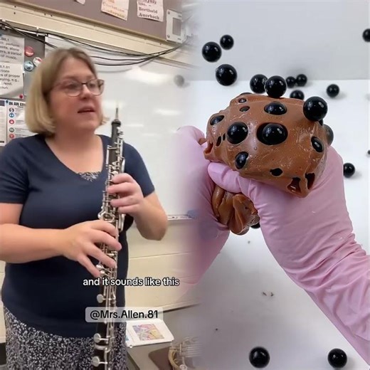 Baritone Players, what was it like #banddirector #band #baritone #frenchhorn #oboe #bandkids #flute