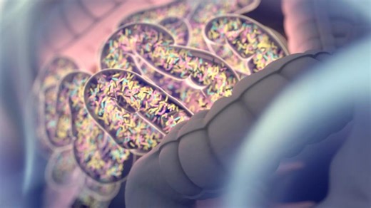 Bladder Cancer: Optimizing Treatment Response Through the Gut Microbiome