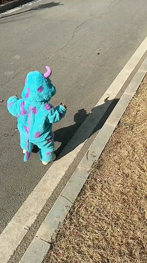Adorable Sully Baby Costume - Find a Monster!