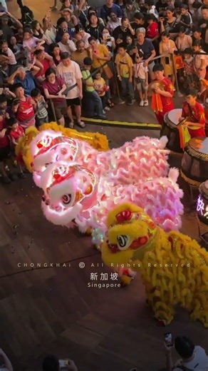 2026 Singapore Wen Yang LED Lion Dance Performance | 新加坡 文扬 發光二極體 舞狮 表演
