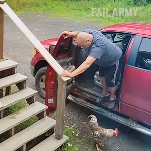 When others do wrong, we do right. If your own world feels a little chaotic this week, rest assured that you don't know the half of it. | FailArmy