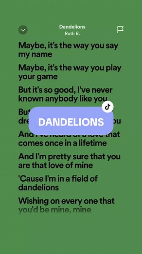 Dandelions Song Lyrics and Full Lirik By Ruth B