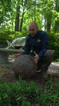 🌊✨ Where Water Meets Art — Your Vision, Your Ecosystem ✨🌊