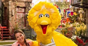 10 Crazy Facts About Big Bird