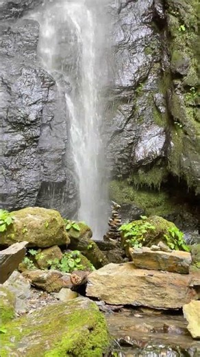 One of Tokushima’s hidden gems. #AmagoiFalls in #Kamiyama is pure forest magic. #tokushima #japan