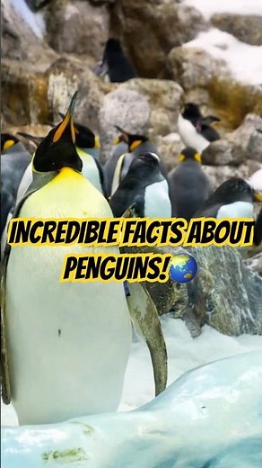 How Penguins Survive in Extreme Cold | Fascinating Penguin Facts 🐧❄️