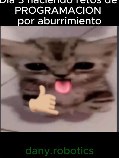 DIA 3 HACIENDO RETOS DE PROGRAMACION🧑‍💻 #fyp #parati #programacion #aprendiendoaprogramar #java #vscode #michis #robotics