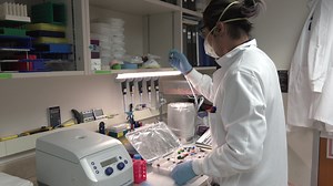 Biotechnologist: Occupations in Alberta - alis