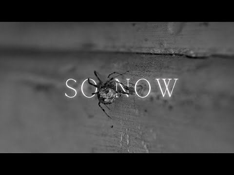 So Now By Charles Bukowski