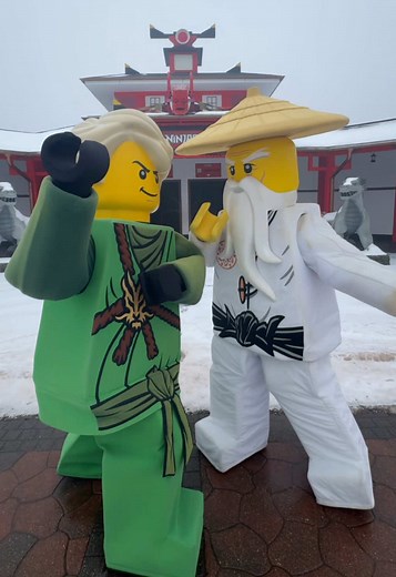15 Års Fødselsdag Fejring i Legoland