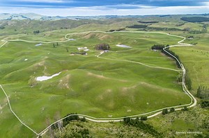 300 Pattison Road, Waipukurau, Central Hawke's Bay, Hawke's Bay