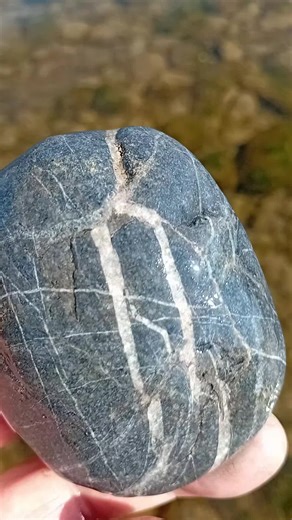 Platinium group (@platinium.group)’s videos with 741 Hz Clear Negative Energy - Emiliano Bruguera