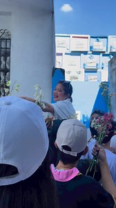 Wild flower | Stella & Abby