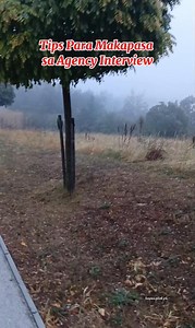 281K views · 11K reactions | "Tips Para Makapasa sa Agency Interview Abroad" 1. "Paano Makapasa sa Agency Interview?" 2. "Tips para Sure Pass sa Agency Interview!" 3. "Interview Tips para sa Gusto Mag-Abroad" 4. "Step-by-Step: Agency Interview Abroad" 5. "Secret para Pumasa sa Agency Interview" #AgencyInterviewTips #WorkAbroad #OFWJourney #JobAbroad #AbroadOpportunities #InterviewTips #OFWGuide #WorkAbroadDream #bapangbok #TrabahoSaAbroad | Emmanuel David Botio | Facebook