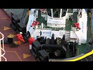 Vale Italia in Rotterdam