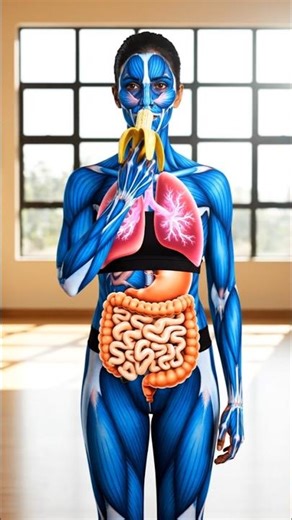 The Banana Effect: How Your Body Processes It (3D Animation)