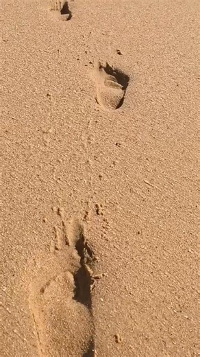 The ocean clears the path ahead. #mindfulnesspractice #beachwalks #oceantherapy #lettinggo