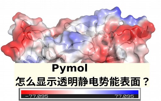 Pymol-surface/cartoon透明度的调节(静电势能)