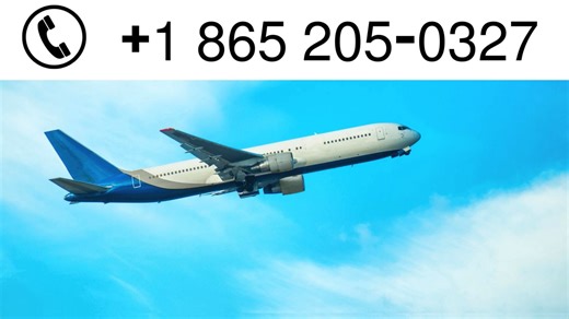 Expedia™ Official Customer Service Complete || 24/7 Live Support Guide