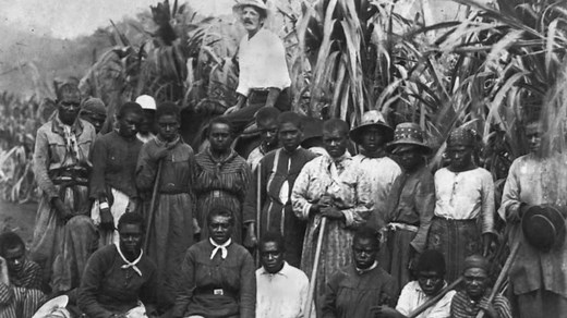 It's 160 years since the blackbirding era began. It's not just history for descendants of those who were taken - ABC Pacific
