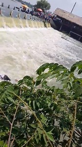 ធ្លាក់លូវហើយ ធ្លាក់ហើយ ធ្លាក់មែន | Cambodian News