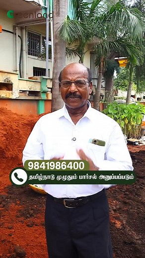 The ₹200 SECRET to a thriving garden is HERE! 🤯 Is your plant dying? 💔 Stop blaming your black thumb! The real culprit is poor soil. We’ve created a revolutionary Minerals Enriched Fertile Soil mix that costs just ₹200 but acts like a total powerhouse, preventing plant loss and boosting growth instantly! This is the foundation you need for the healthiest plants and the juiciest fruits. 🌴 Don’t wait for your next plant to fail. Upgrade your soil today and see the Greenland difference! Contact 