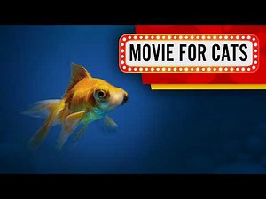 CAT GAMES - Get that telescope goldfish (Video for Cats to watch) 4K