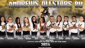Custom Sports Team Banner Design: Personalized Digital File - Etsy