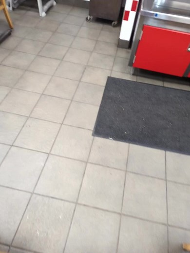 Canadian Shield 🇵🇸 (@canadian_shield_)’s videos with original sound - Canadian Shield 🇵🇸