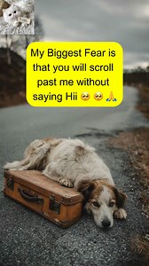 Animal Lovers on Reels