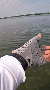 221 reactions | The Flat Worm’s flat belly allows for a killer glide on the fall that quivers with minimal movement Once they key in on that Flat Worm action & MaxScent dispersion, it’s game over #berkleyfishing #yourfishourscience #fishing #maxscent #bassfishing | Berkley Fishing | Facebook