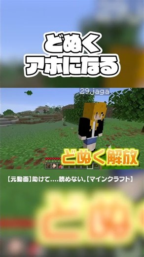 アホになったどぬちゃん#からぴち #minecraft