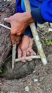 849K views · 2.1K reactions | Trap #creativity #wellness #trap #skills #hunting #survival #bushcraft #alamliar #forest | Malole.19 | Facebook