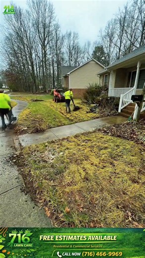 Buffalo Spring Cleanup Transformation 🌱 | Lawn Reset After Winter #buffalony #lawncare #landscaping
