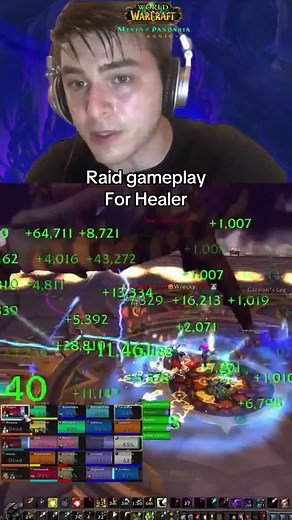 Complete Guide to Raid Gameplay for Healers and Tanks